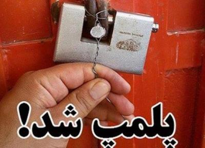 38 واحد عرضه مرغ زنده در روانسر پلمب شد