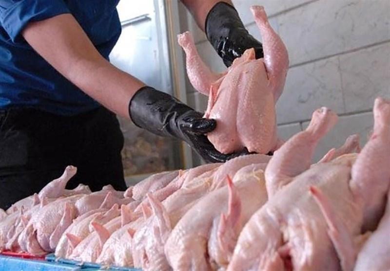 مرغداران عامل افزایش قیمت مرغداران عامل افزایش قیمت