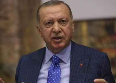 اردوغان: ترکیه تا زمانی که دیگر کشورها سوریه را ترک نکنند نمی رود