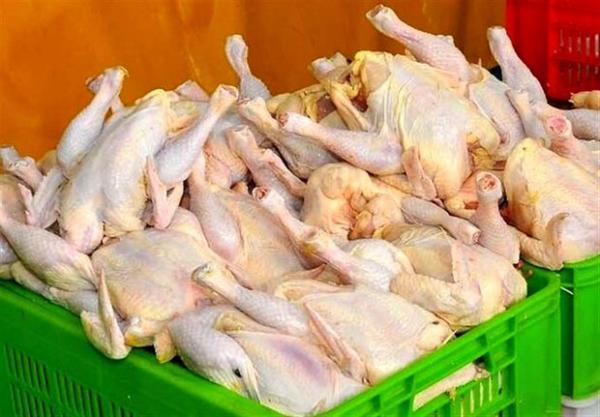 قیمت مرغ 20 هزار و 400 تومان است، هرگونه گرانی مرغ غیر قانونی است